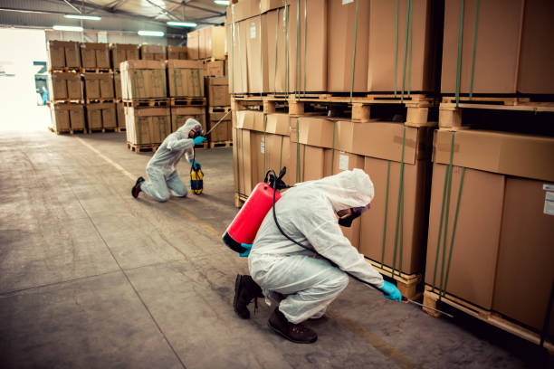 Best Best Pest Control Companies  in Tarkio, MO