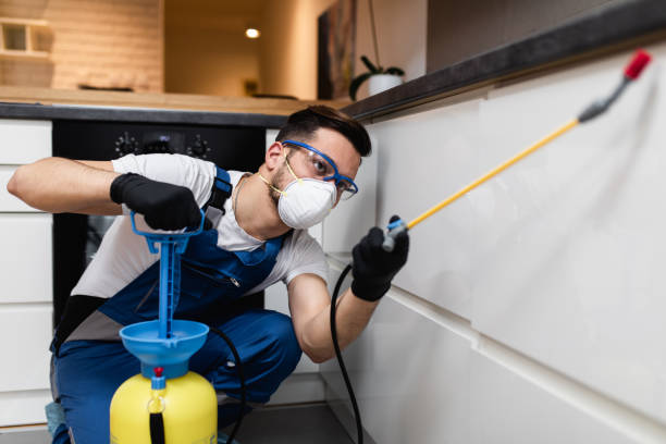 Best Commercial Pest Control Services  in Tarkio, MO