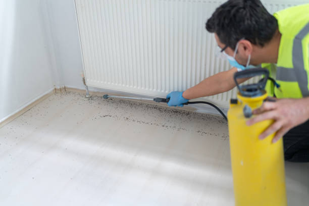 Best Affordable Exterminators  in Tarkio, MO
