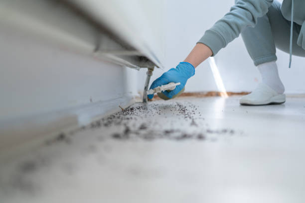 Best Cockroach Control Services  in Tarkio, MO